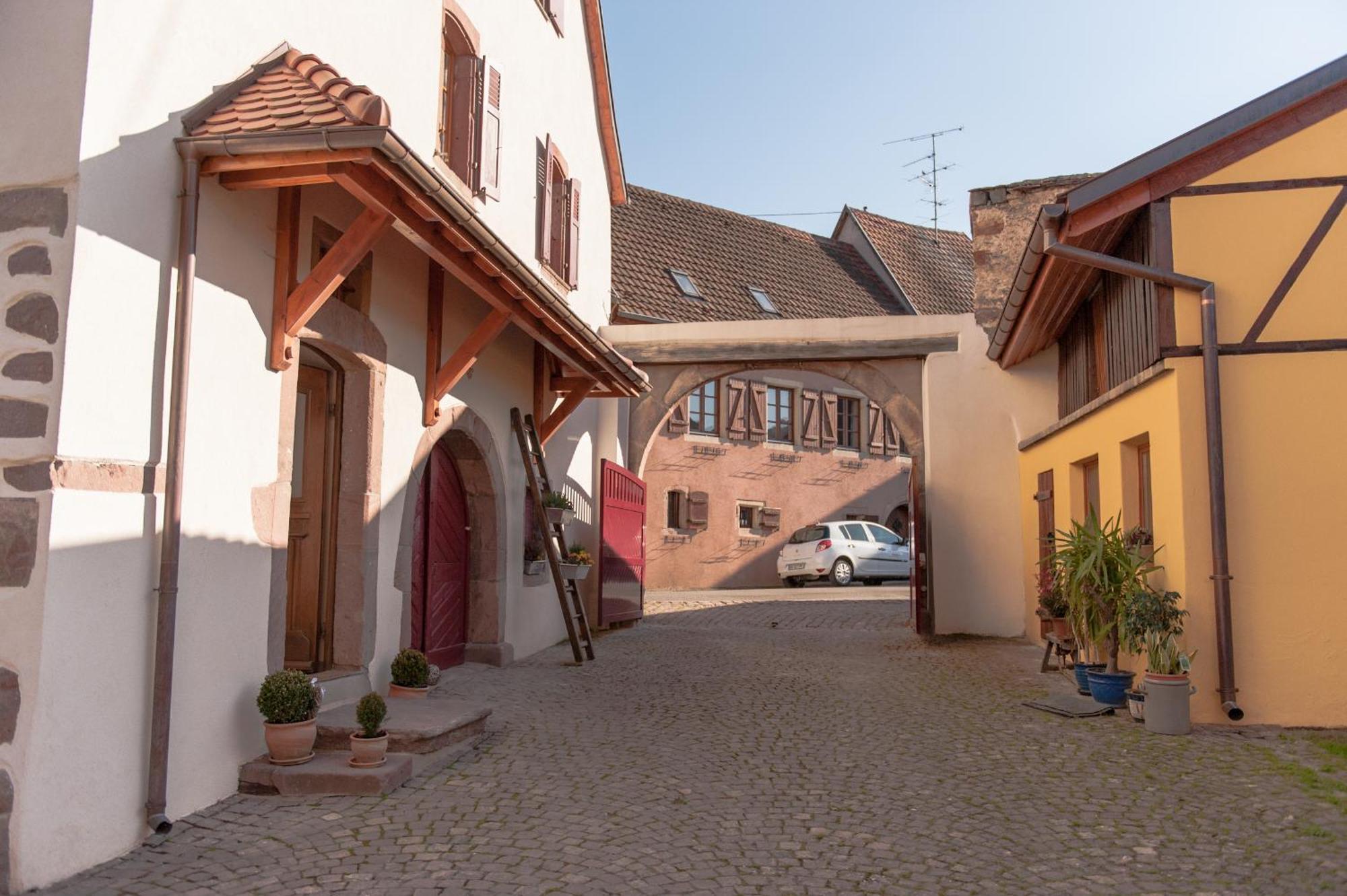 La Maison D'Emilie Pfaffenheim Exteriér fotografie